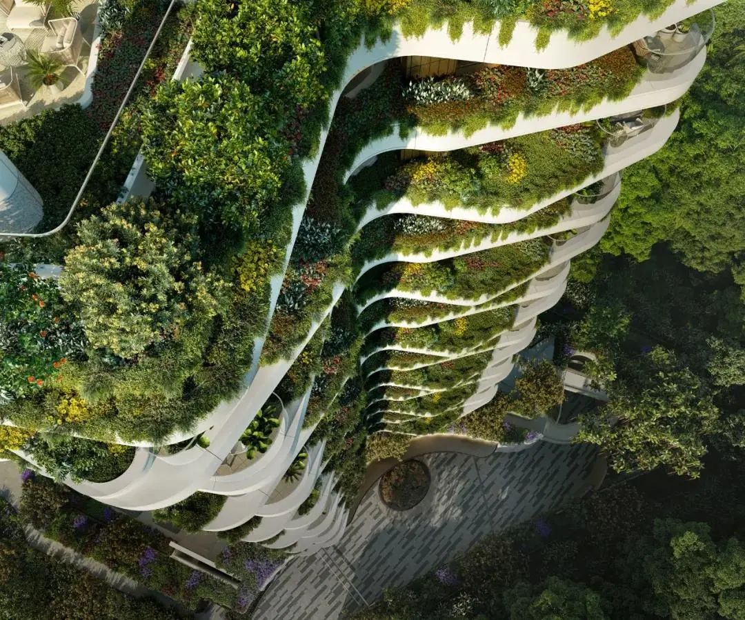 新加坡黄金地段永久地契公寓丨Park Nova 柏皓