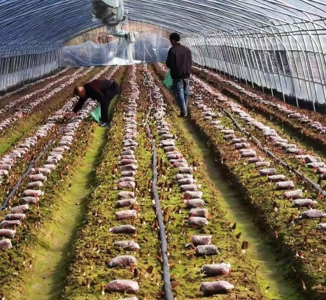 �׽����������Ļ����ν����湥�ԡ��������羰��