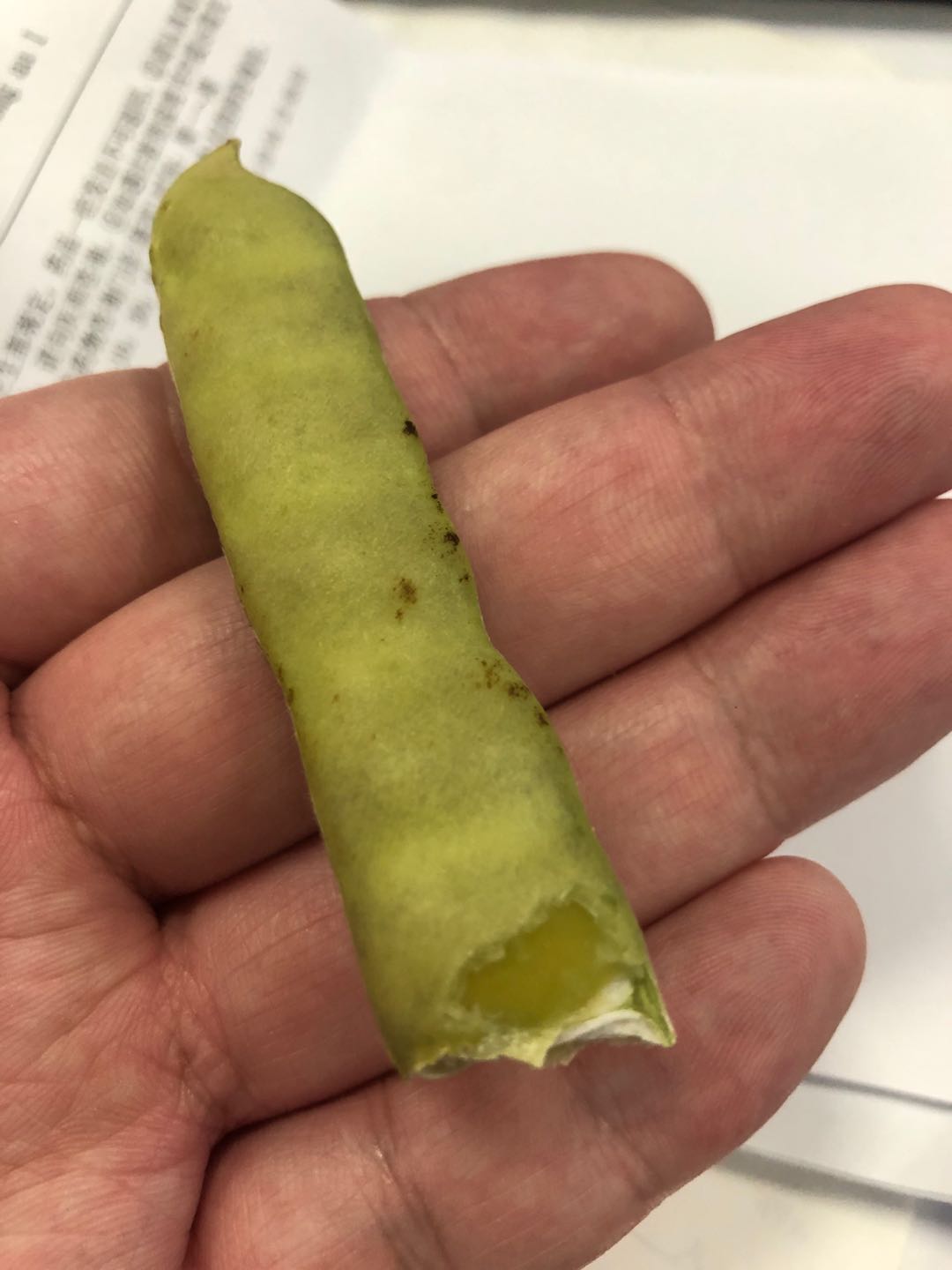 番薯，地瓜有你不知道的东西