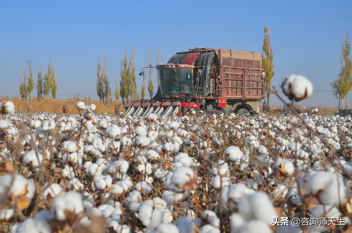H&M们不用新疆棉花，对中国纺织业影响多大？欧美围堵能成功吗