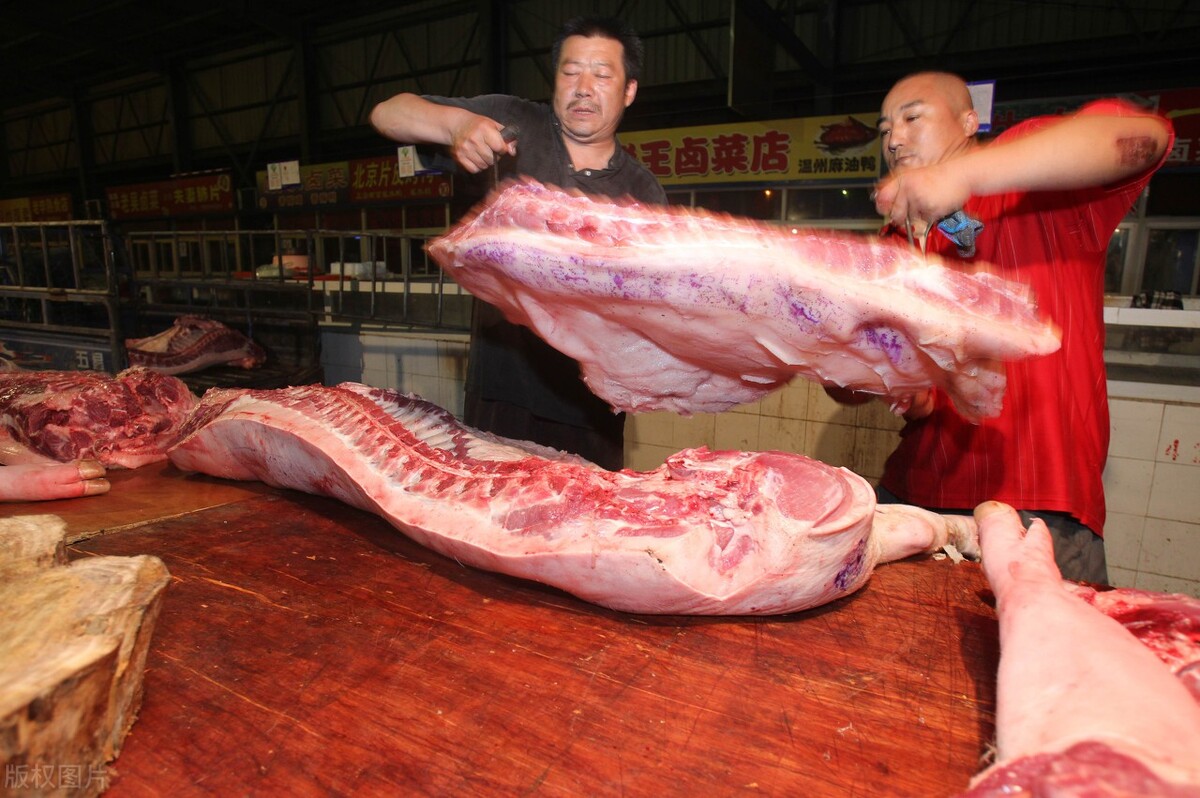跌到5块也不卖猪，面对亏损为何还要硬挺，难道养猪户不怕亏钱？