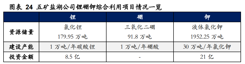 盐湖提锂工艺革新，行业迎来黄金时代