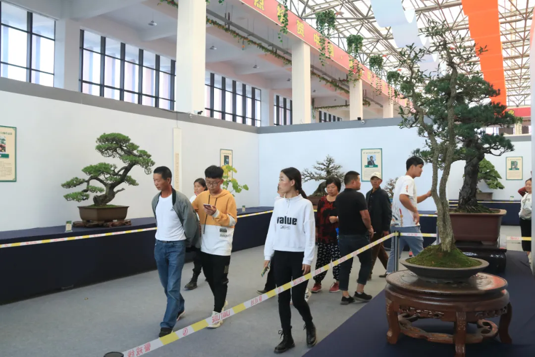 大饱眼福，第八届中国沭阳花木节竟如斯出色！你想看的全在这里…