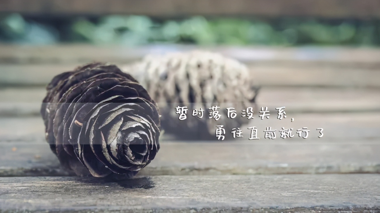 暗示不懂感恩的说说 如何讽刺忘恩负义的人图片