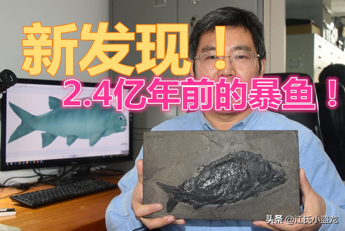 2.4億年前的一條魚為什麽上了熱門？