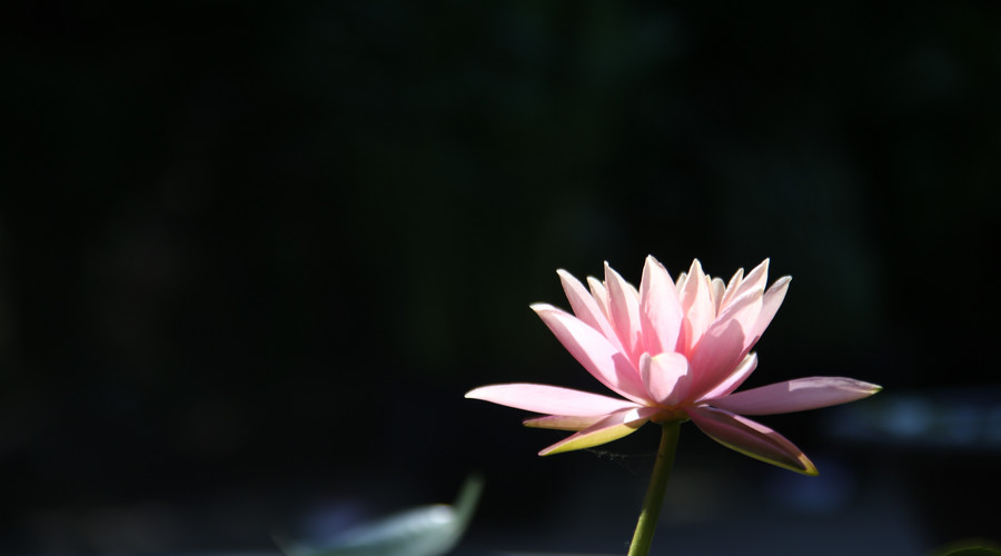 易經(jīng)：所有突如其來的好運(yùn)，都是來自你的正向積累