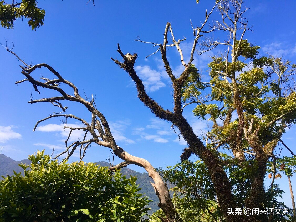 《回乡偶书》第二首，朴实无华，细腻温婉，更具真情-第2张图片-非凡网