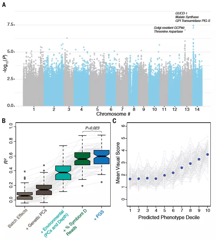Science | 群体研究新思路：De novo + GWAS