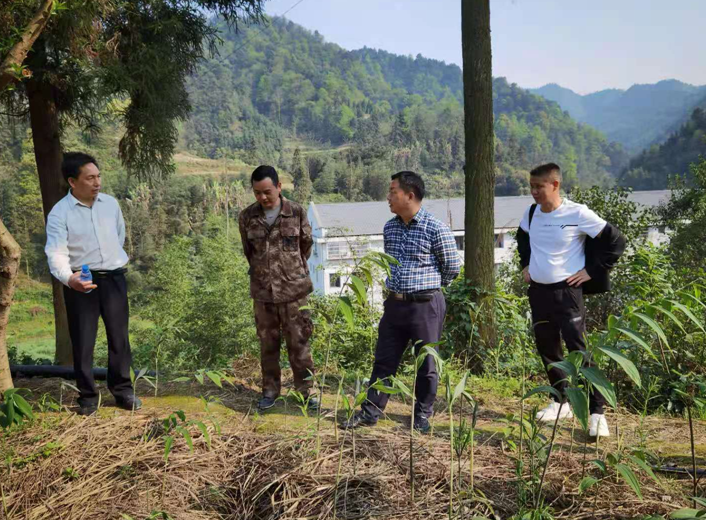 新晃侗族自治县人大常委会主任潘世新深入林冲镇调研指导人大工作