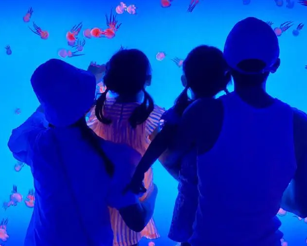 谢娜挺孕肚亮相，39岁拼二胎为生活四处奔波，被赞“最拼宝妈”