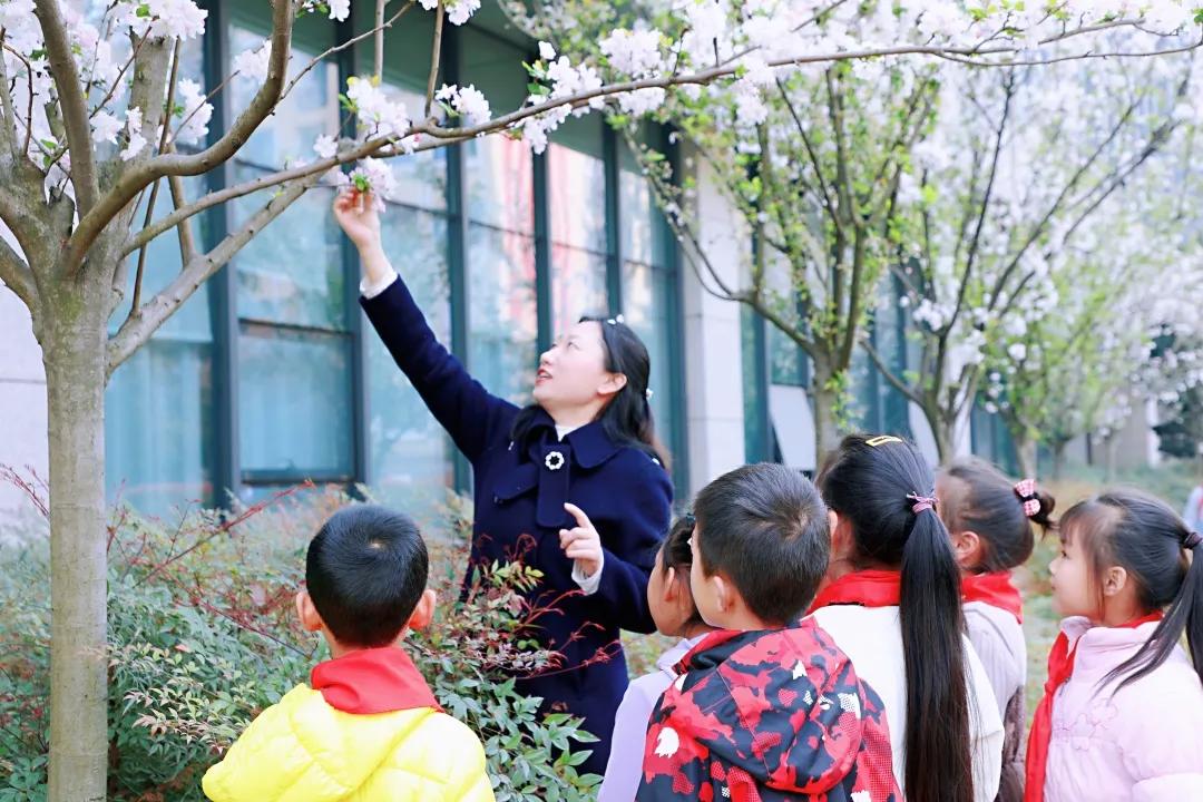 带上五官到校园里寻找春天——成都市华中附小大自然的语文课