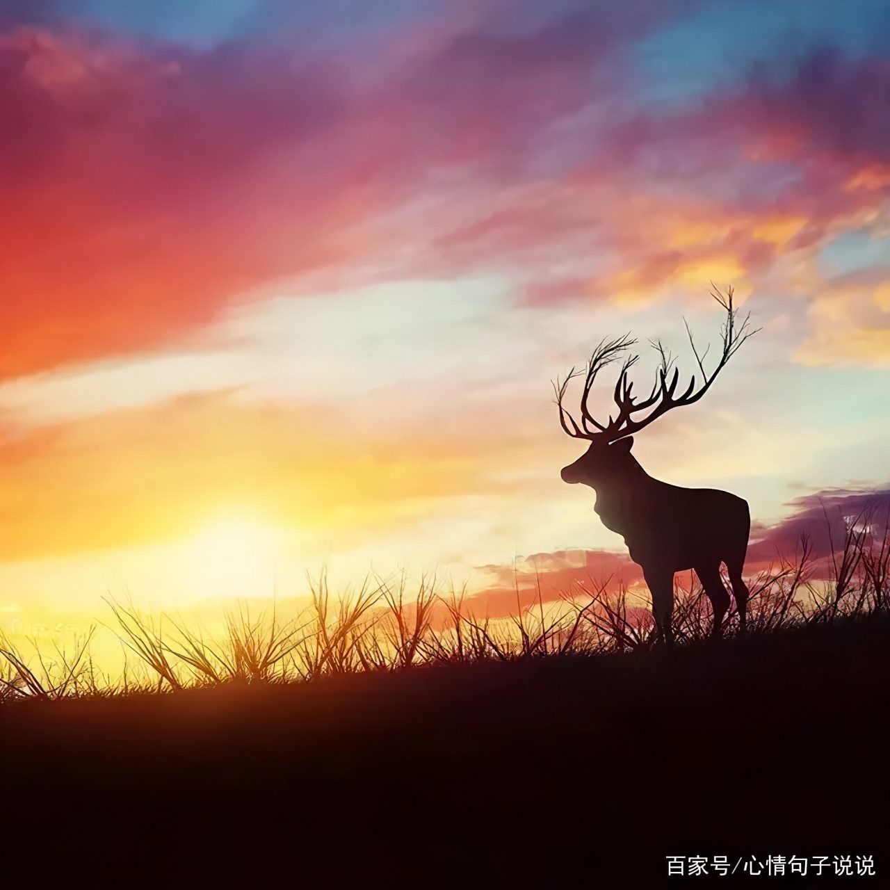 奋斗励志的句子：激励自己努力奋斗的励志短句图片