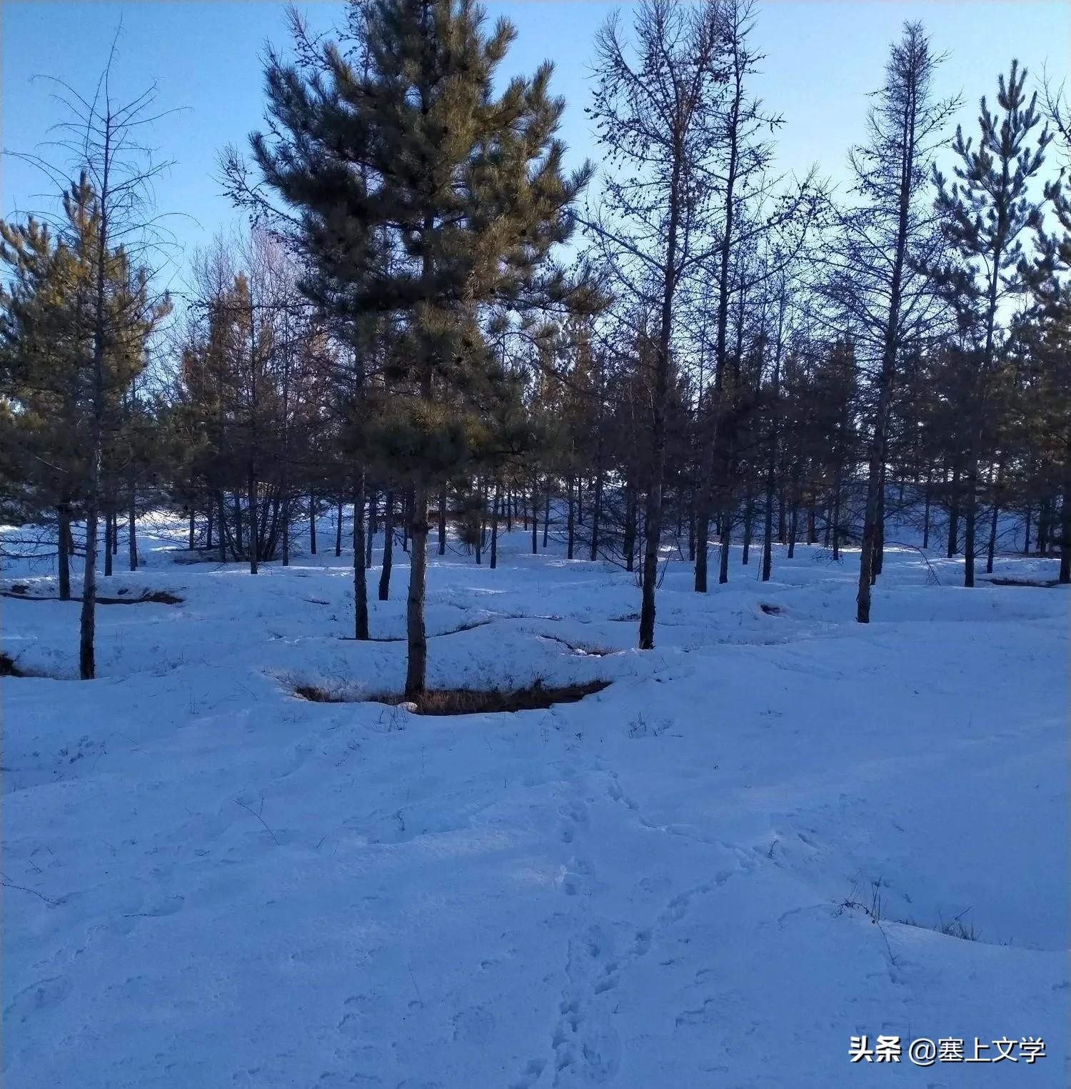 散文诗：寒衣节，写给思念的父亲-第3张图片-非凡网