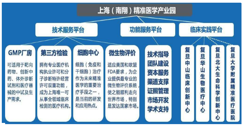 李忠观点丨新医疗、新趋势、新空间——医疗发展前瞻及典型案例