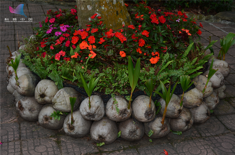 種樹人的自我修養 從入門常識到跨界混搭 中國科普博覽 Mdeditor