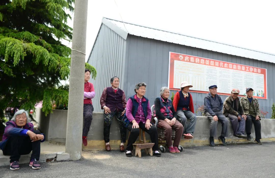 北大社会学家王思斌：一些地方农村走向凋敝，我对此十分忧心