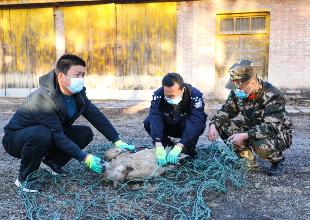 侯<a href=http://www.cngansu.cn/news/ target=_blank class=infotextkey></a>ܶӸ֧ӣ־Ҷͺ