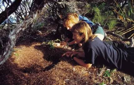 把人誤認為對象，交配季對人腦袋狂風暴雨，一無是處成為最佳鳥？