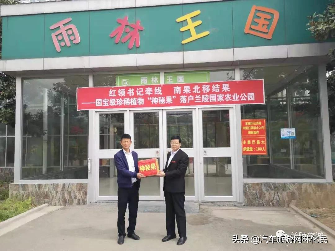 南果北移结果—国宝级珍稀植物“神秘果”落户兰陵农业公园