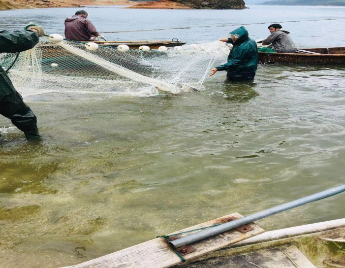 平安普惠江西分公司助力三农小微发展，让金融服务更有温度
