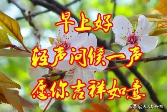 ʮգںηյ@ף\