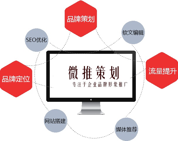 覃雨泽：网络营销策划方案（成功案例！）