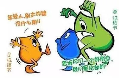 它长得像猫爪子，却是一味治疗结节的良药