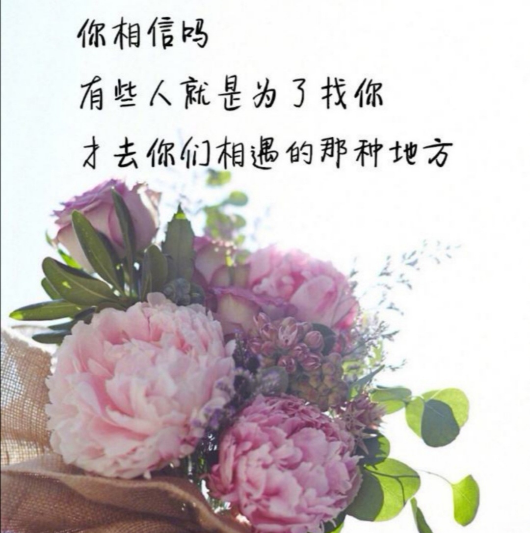 《愿世间所有美好，都恰逢其时》：时间能治愈的，是愿意自救的人