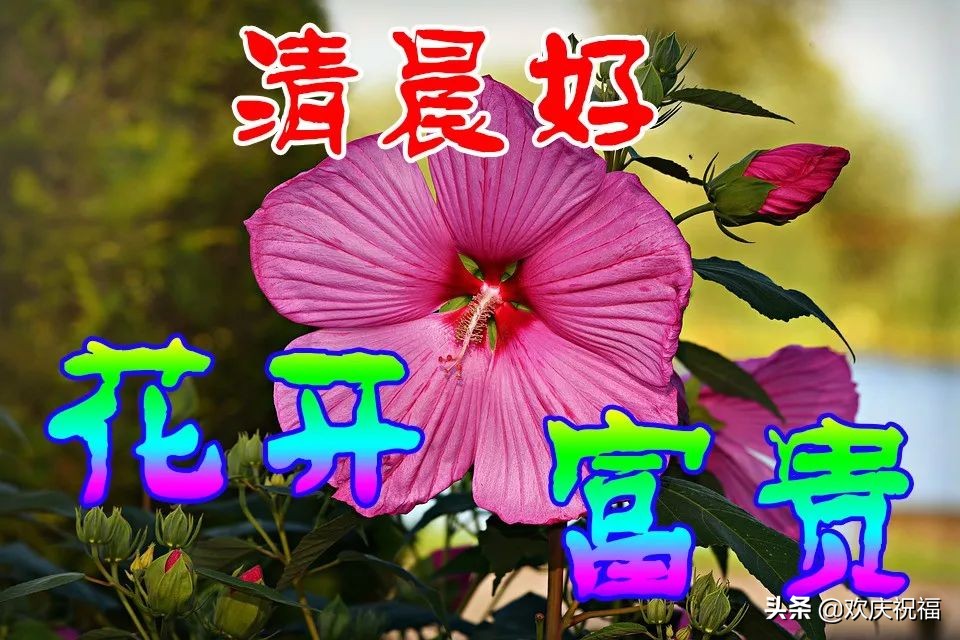 清晨早上好漂亮文字圖片問候祝福語早安溫馨祝福短信