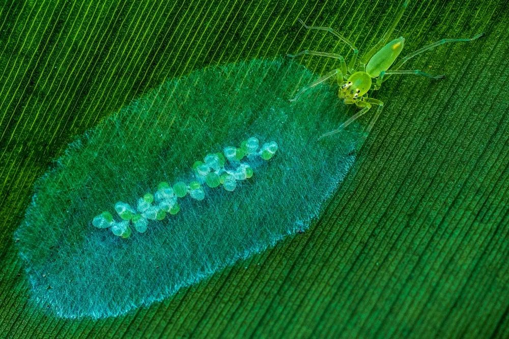 分不清是現實還是虛幻：45張攝影作品，捕捉大自然的神秘