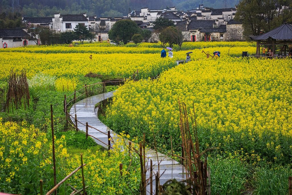 旅游行业开始回暖，国内多地开启旅游专列