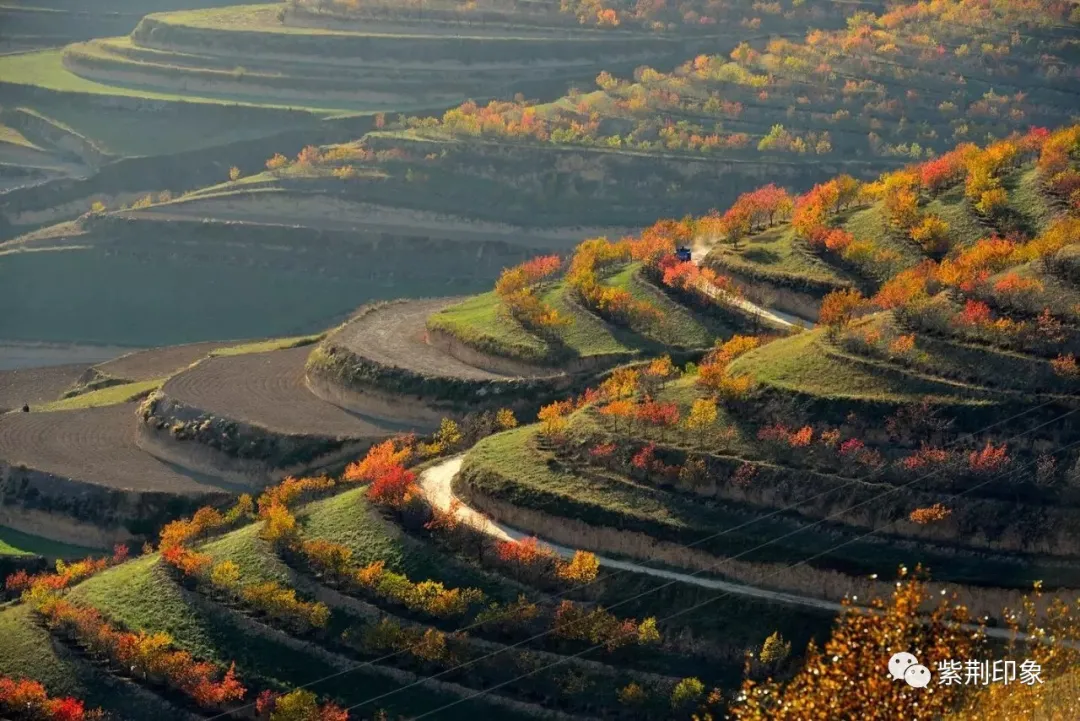 【庄浪县】初秋时节来庄浪，看百万亩梯田绝美风光！