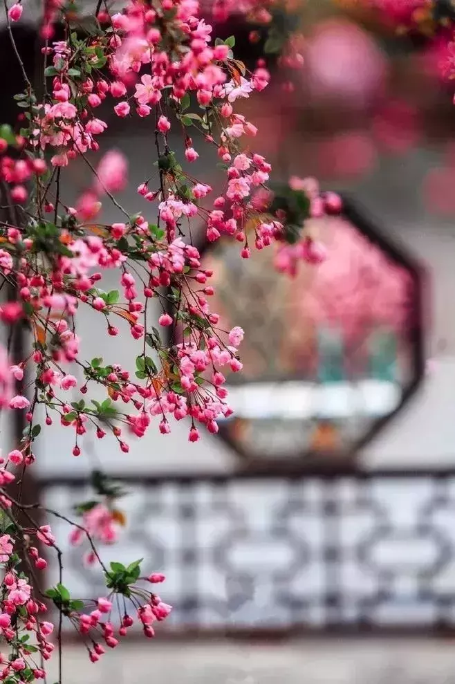十首绝美元曲：读一遍就爱上了-第6张图片-非凡网