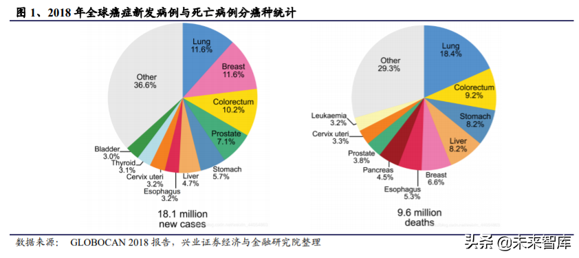 基因检测之癌症早筛行业深度报告：蓝海市场，新兴赛道