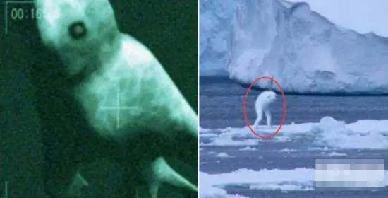 南极洲8大未解的谜团之神奇的“南极洲人造人”