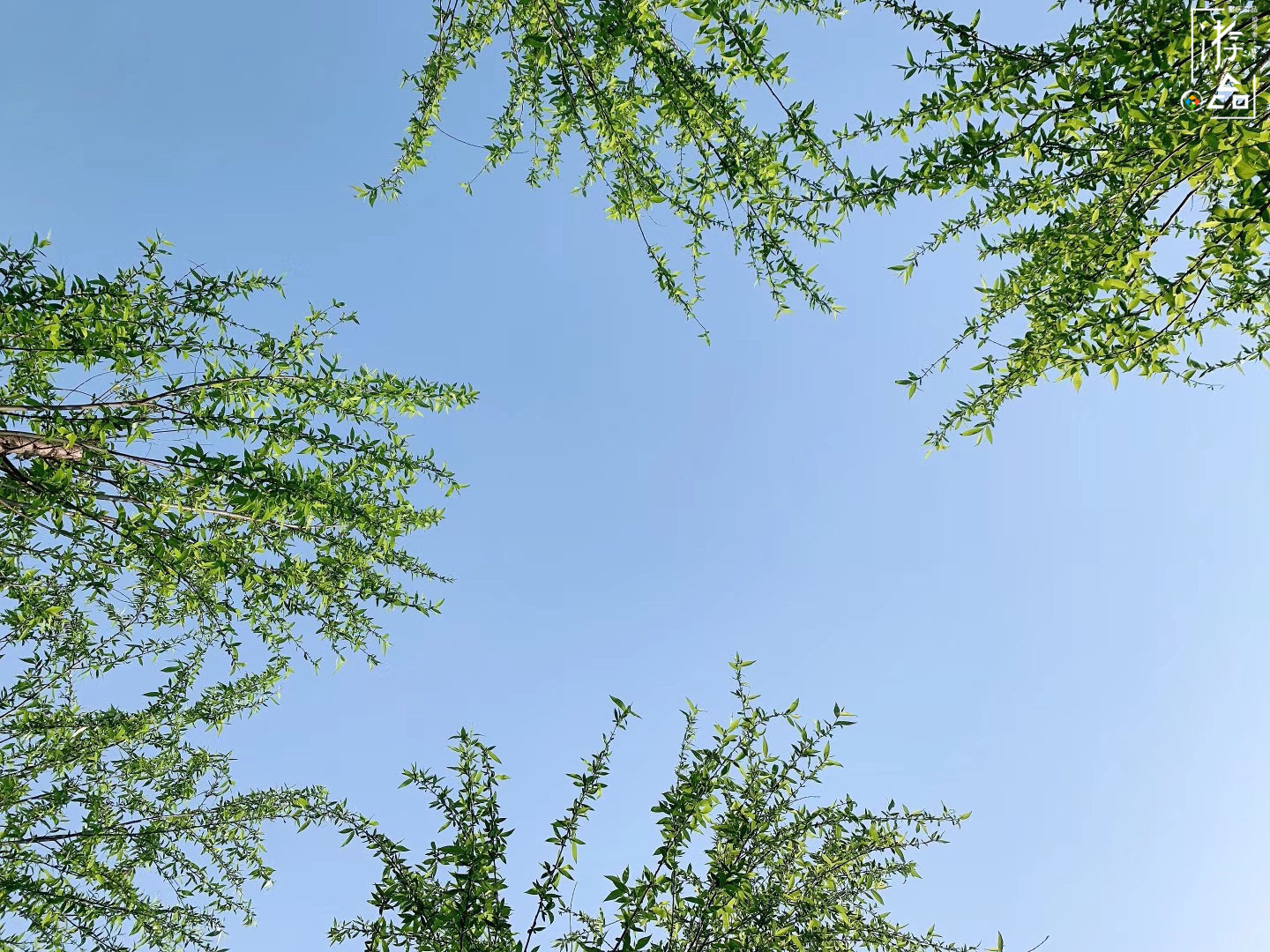 重庆人自己的外滩：九龙坡滨江路，从早到晚都能带给你惊喜