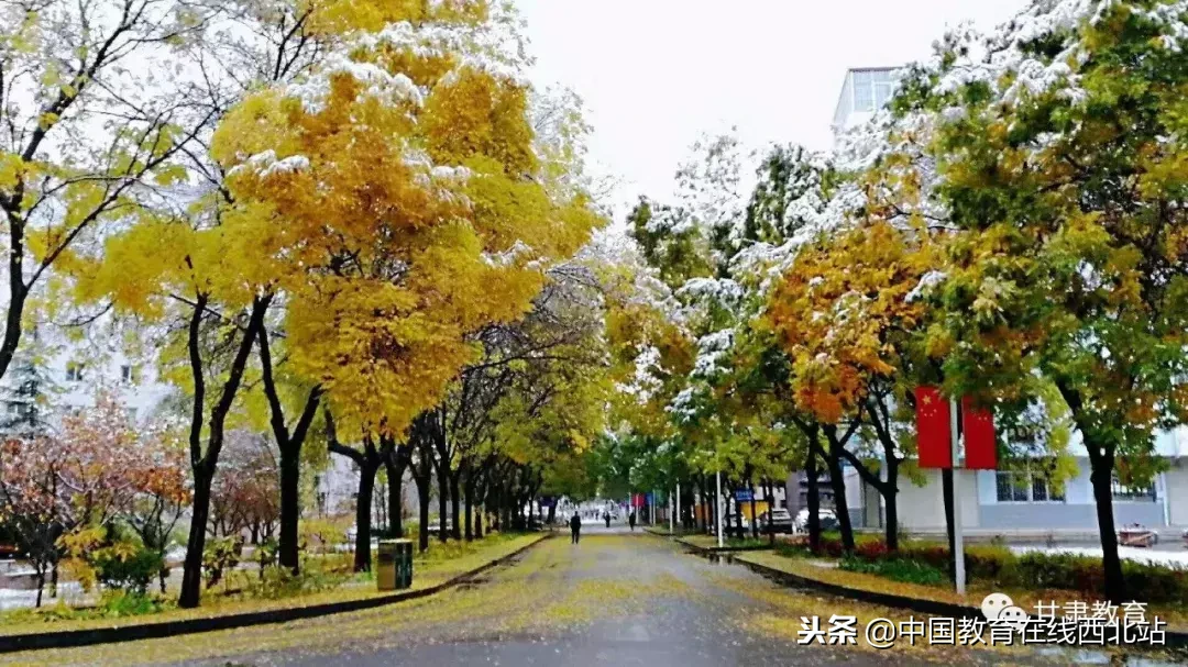 甘肃初雪|甘肃18所高校初学雪景大PK,快来看看有你的母校没?