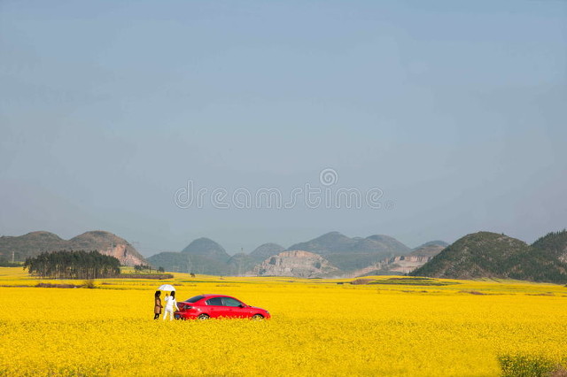 中视频创作，视频质量和视频数量哪个更重要