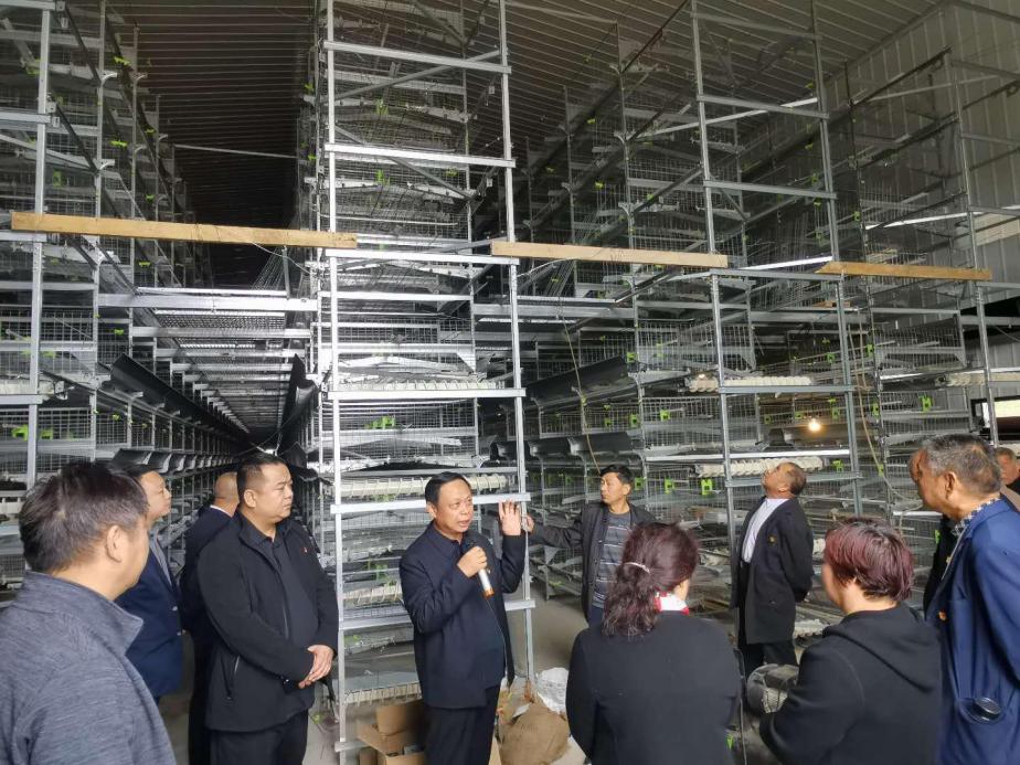 青华镇人大代表：当好服务产业项目的“店小二”