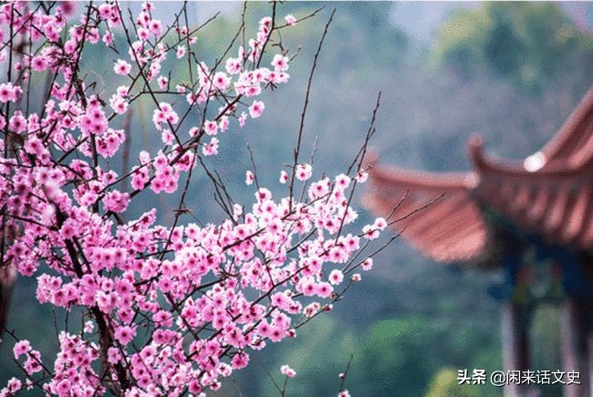 “人面不知何处去”，曲折离奇、荡气回肠的爱情故事，千古流传-第4张图片-非凡网
