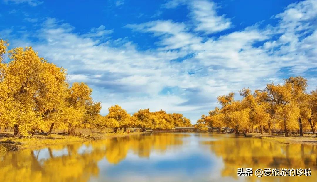 The best place to travel in October-November, the late autumn tour bus is about to depart