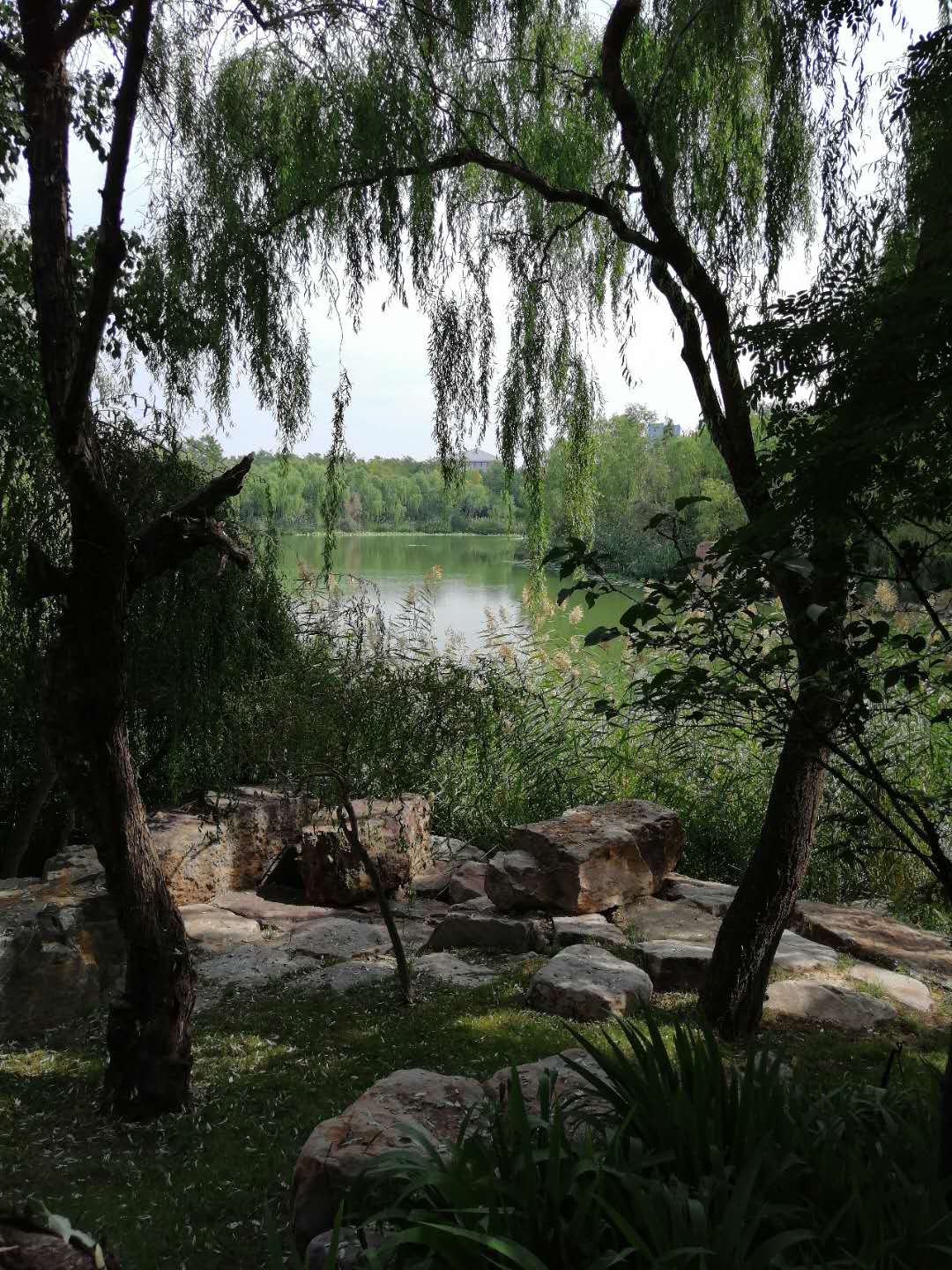 陈招生|株洲诗人陈招生古诗四首会老友歌盛世