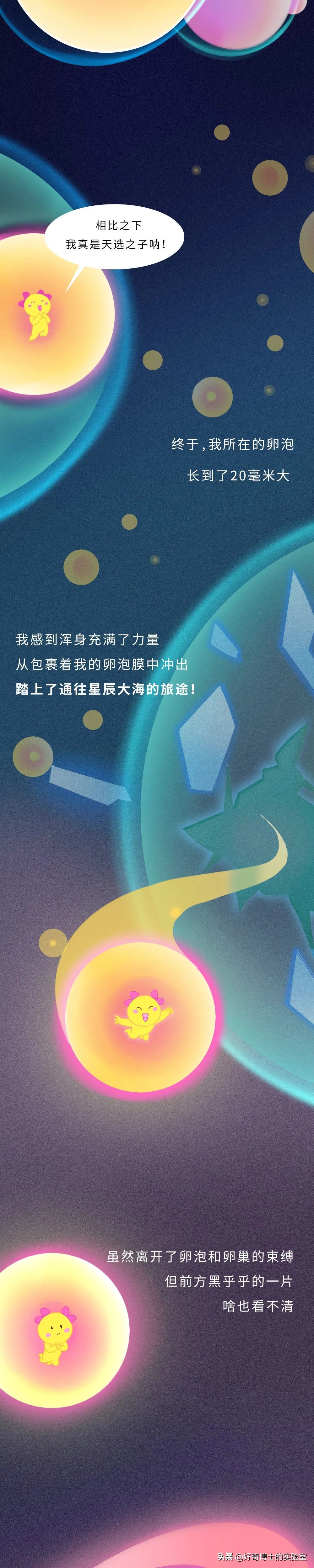 你對女生的卵子根本一無所知