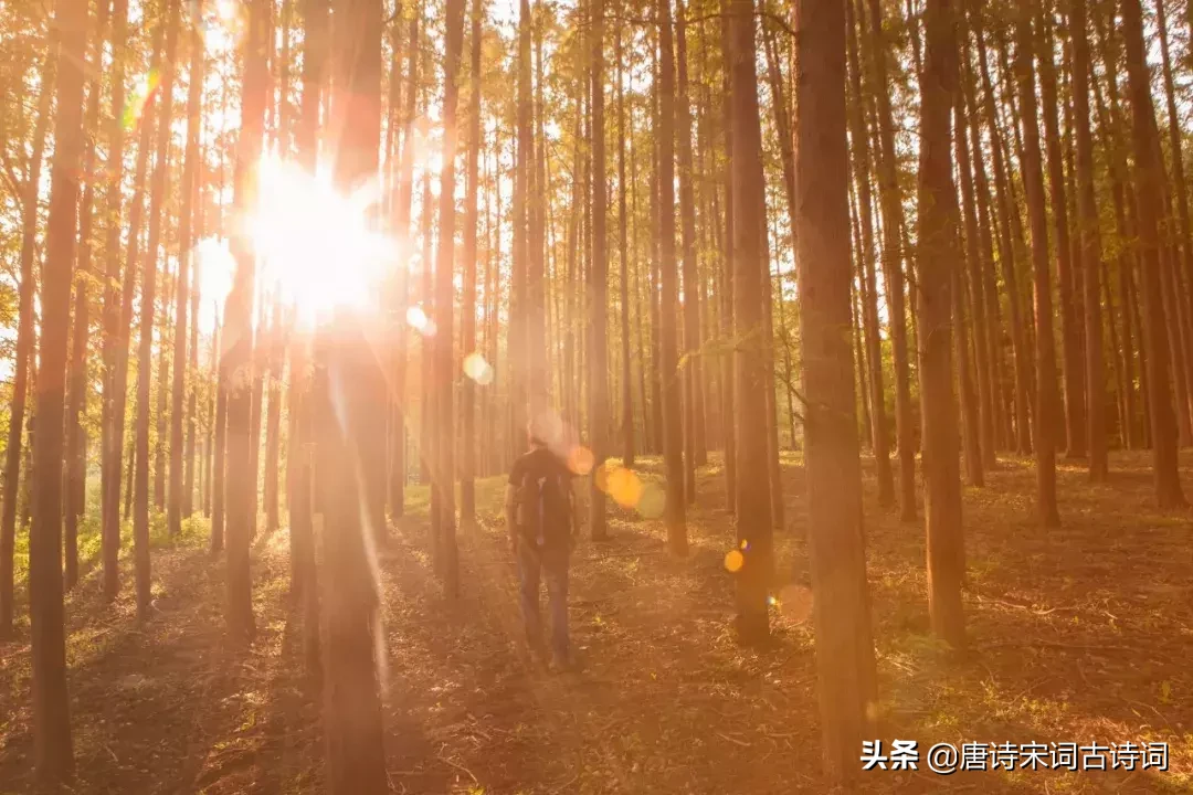 十首冬日诗词，读完心里暖洋洋-第1张图片-诗句网