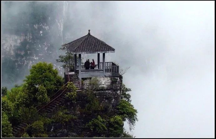 邀与雨花共度夏