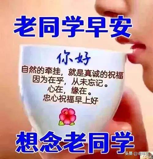 最新周三早上好表情图片  周三早上好问候语图片图片