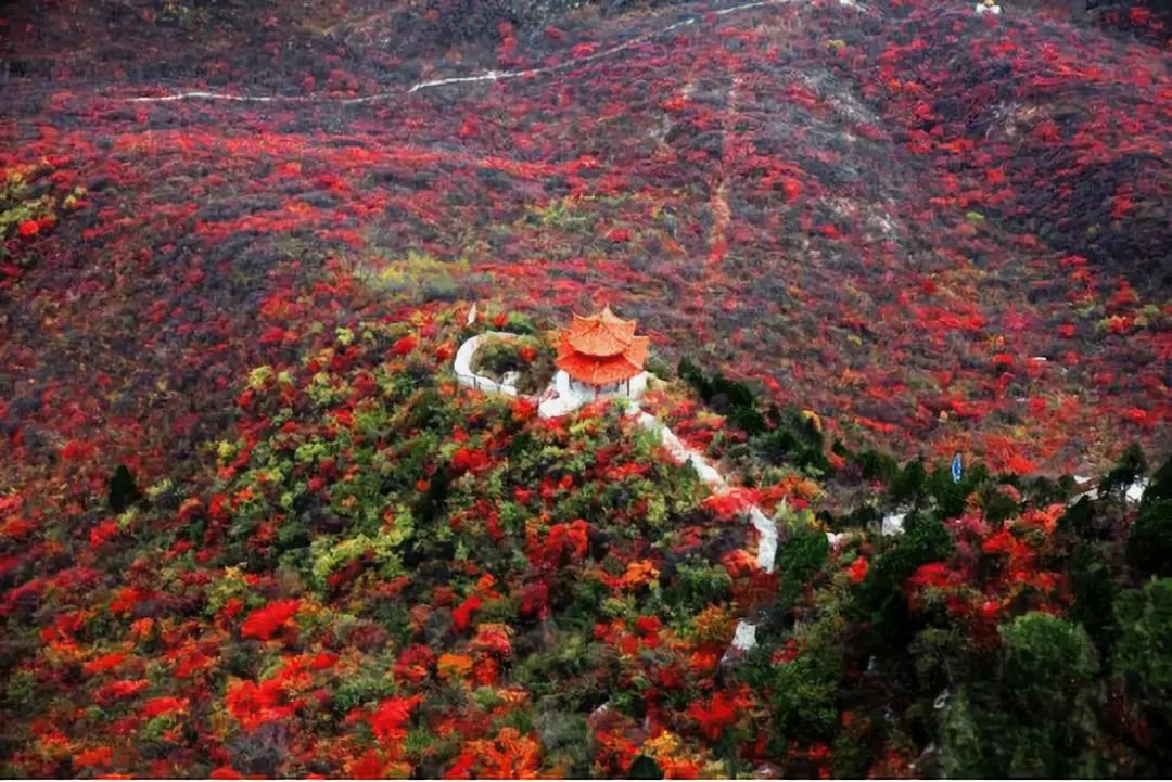 Shanxi's beautiful tourist check-in place, it becomes a paradise on earth in autumn, which is amazing