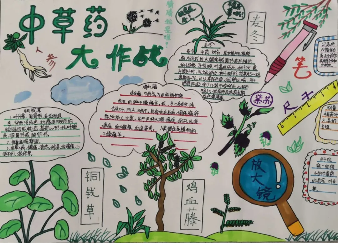 南昌市洪都中医院中草药专家走进百花洲小学传播中医药文化