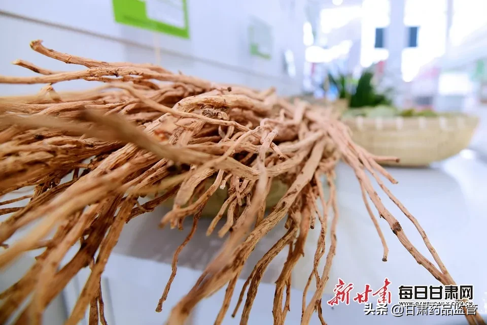 第三届中国（甘肃）中医药产业博览会今日开幕