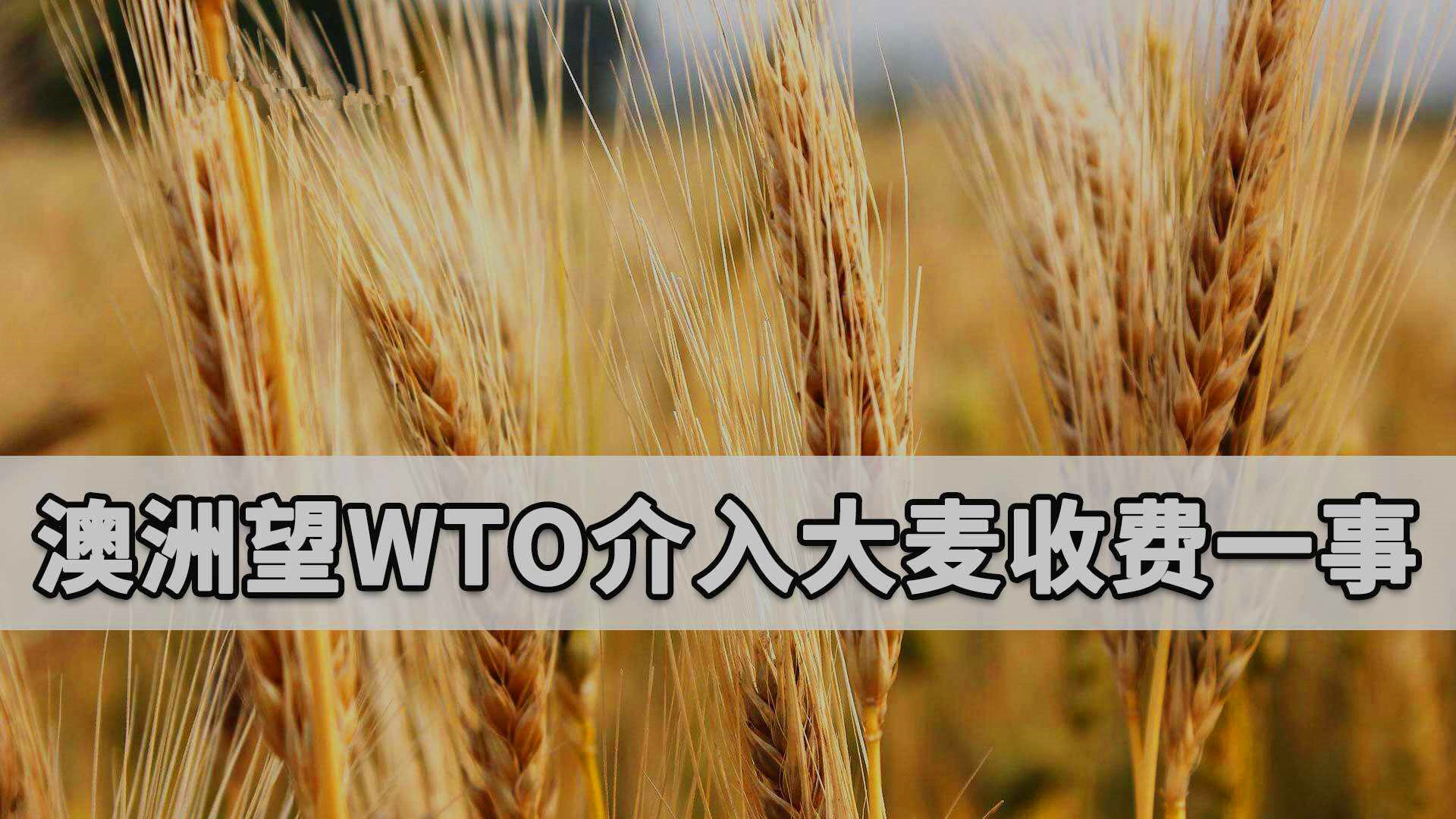 澳强买强卖，扬言将中国告上WTO，要求中国取消贸易限制恢复进口